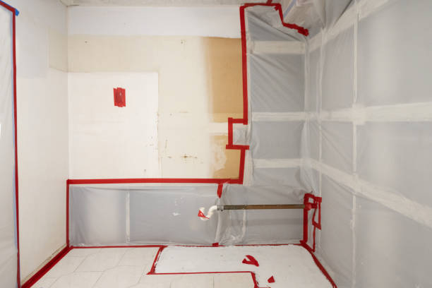 Best HVAC Mold Inspection and Cleaning  in Fort Davis, TX