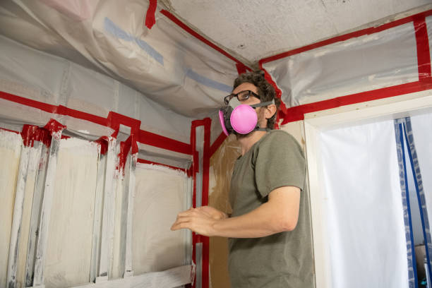 Best Emergency Mold Remediation  in Fort Davis, TX