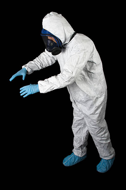Best Black Mold Removal  in Fort Davis, TX